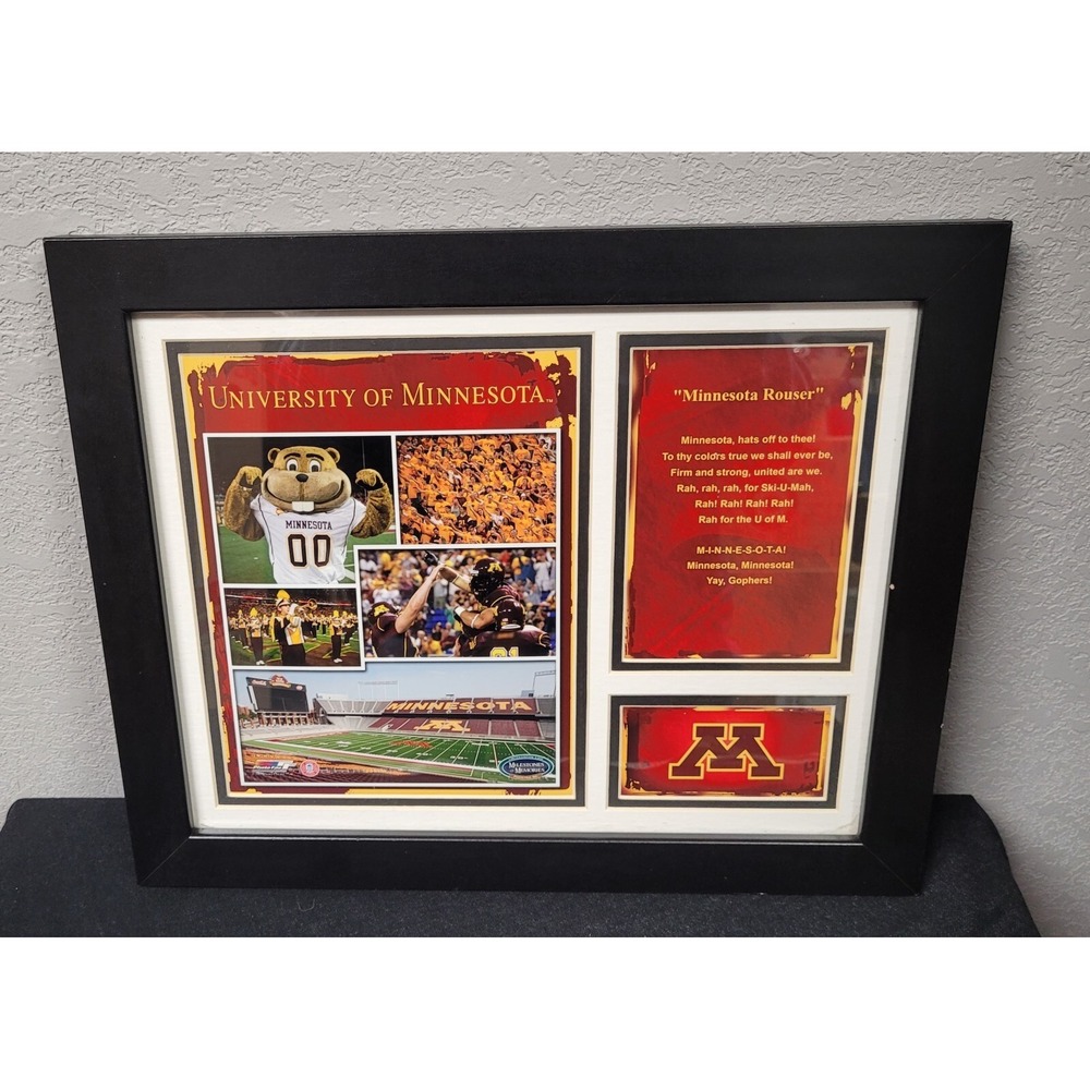 University of Minnesota Golden Gophers 11x14 Milestone & Memories Framed Photo